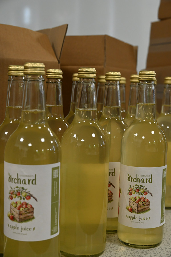 Bottled Apple Juice